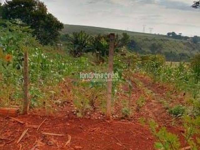 Sítio e chácara venda em Higienópolis, Londrina