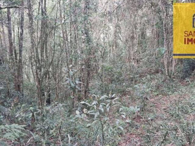 Sítio e chácara venda em Região Geográfica Imediata de Curitiba, Região Metropolitana de Curitiba