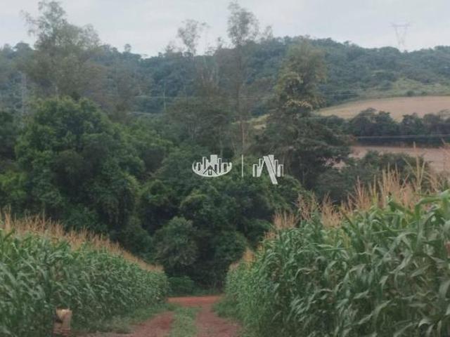 Sítio e chácara venda em Região Geográfica Imediata de Londrina, Londrina