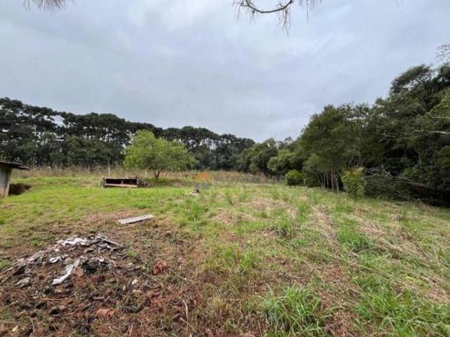 Sítio e chácara venda em Região Geográfica Imediata de Curitiba, Região Metropolitana de Curitiba