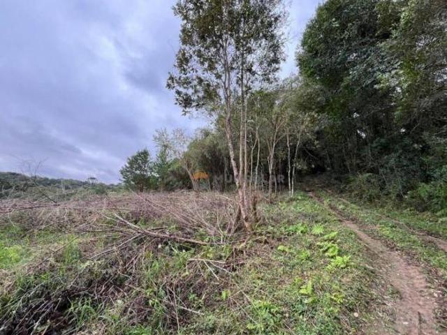 Sitio venda em Araucaria