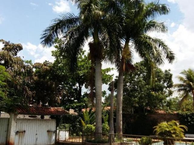 Sítio e chácara venda em Americana