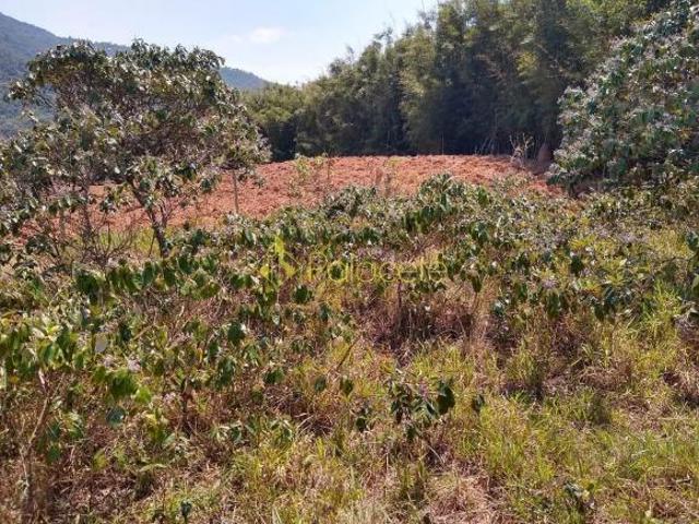 Sítio e chácara venda em Região Imediata de Taubaté-Pindamonhangaba, Região Metropolitana do Vale do Paraíba e Litoral Norte
