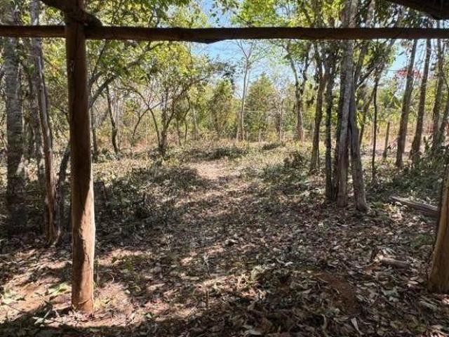 Sítio e chácara venda em Bonfinópolis