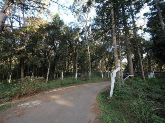 Sítio e chácara venda em Região Geográfica Imediata de Curitiba, Região Metropolitana de Curitiba