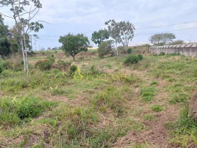 Sítio e chácara venda em Região Imediata de Taubaté-Pindamonhangaba, Região Metropolitana do Vale do Paraíba e Litoral Norte