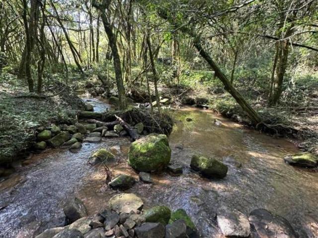 Sítio e chácara venda em Região Geográfica Imediata de Curitiba, Região Metropolitana de Curitiba