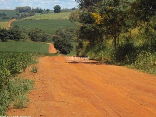 Sítio e chácara venda em Região Geográfica Imediata de Londrina, Londrina