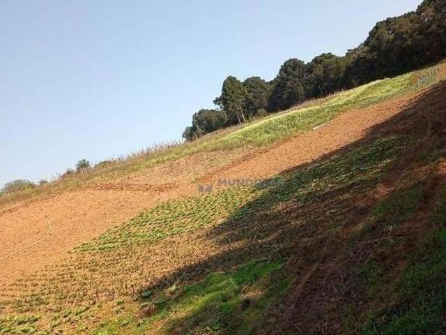 Sitio venda em Araucaria