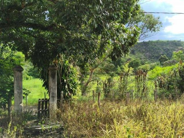 Sítio e chácara venda em Região Imediata de São José dos Campos, Região Metropolitana do Vale do Paraíba e Litoral Norte
