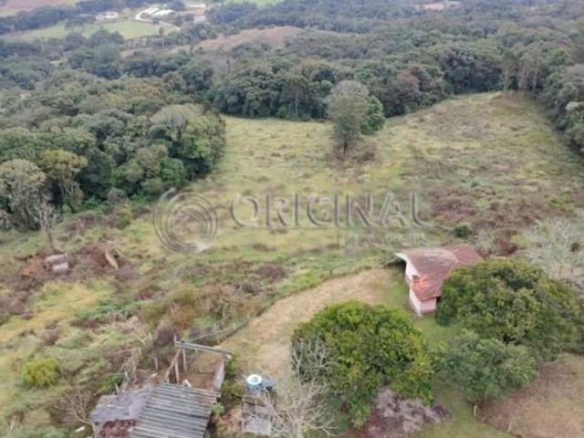 Sítio e chácara venda em Região Geográfica Imediata de Curitiba, Região Metropolitana de Curitiba