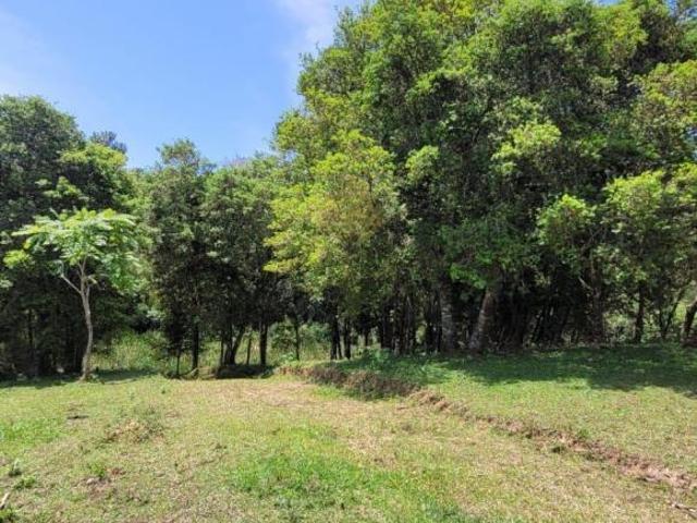 Sítio e chácara venda em Região Geográfica Imediata de Curitiba, Região Metropolitana de Curitiba