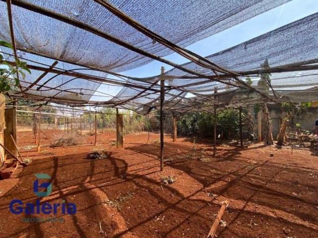 Sítio e chácara venda em Região Imediata de Ribeirão Preto, Região Metropolitana de Ribeirão Preto