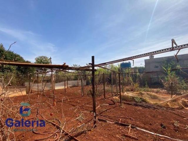 Sítio e chácara venda em Região Imediata de Ribeirão Preto, Região Metropolitana de Ribeirão Preto
