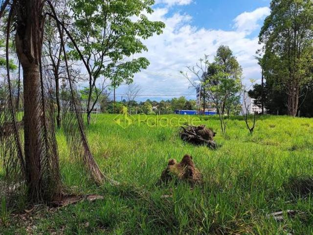 Sítio e chácara venda em Região Imediata de Guaratinguetá, Região Metropolitana do Vale do Paraíba e Litoral Norte