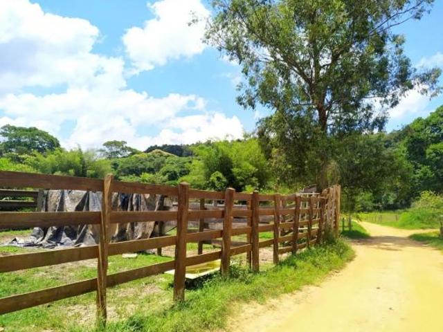 Sítio e chácara venda em Região Imediata de Guaratinguetá, Região Metropolitana do Vale do Paraíba e Litoral Norte