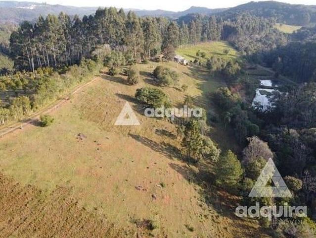 Sítio e chácara venda em Região Geográfica Imediata de Ponta Grossa, Ponta Grossa