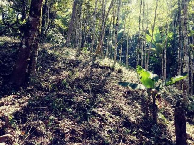 Sítio e chácara venda em Região Imediata de Taubaté-Pindamonhangaba, Região Metropolitana do Vale do Paraíba e Litoral Norte