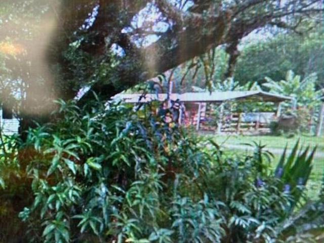 Sítio e chácara venda em São Caetano, Porto Alegre