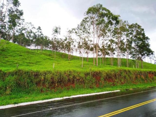 Sítio e chácara venda em Região Imediata de Cruzeiro, Região Metropolitana do Vale do Paraíba e Litoral Norte