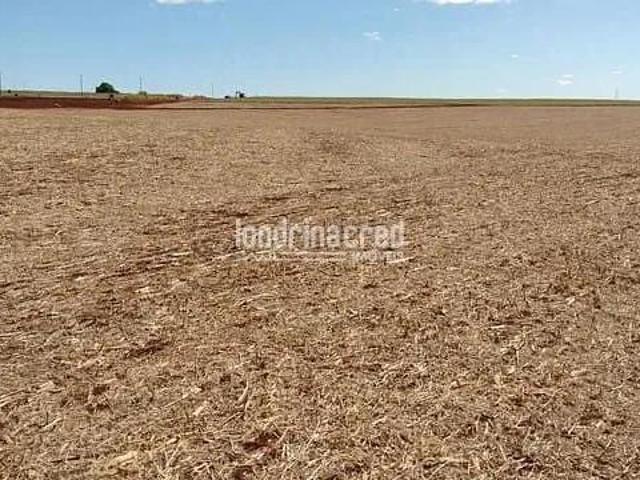 Sítio e chácara venda em Região Geográfica Imediata de Cornélio Procópio-Bandeirantes, Cornélio Procópio