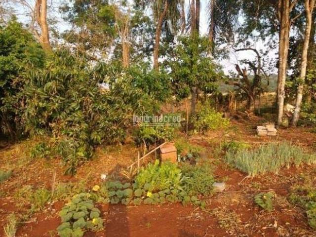 Sítio e chácara venda em Região Geográfica Imediata de Londrina, Londrina