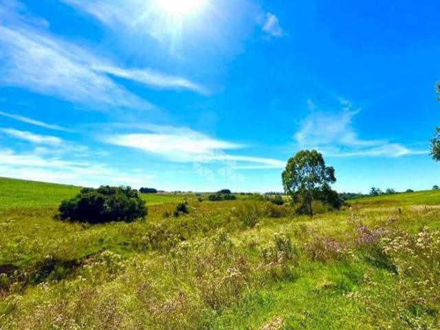 Sítio e chácara venda em Região Geográfica Imediata de Santa Maria, Santa Maria