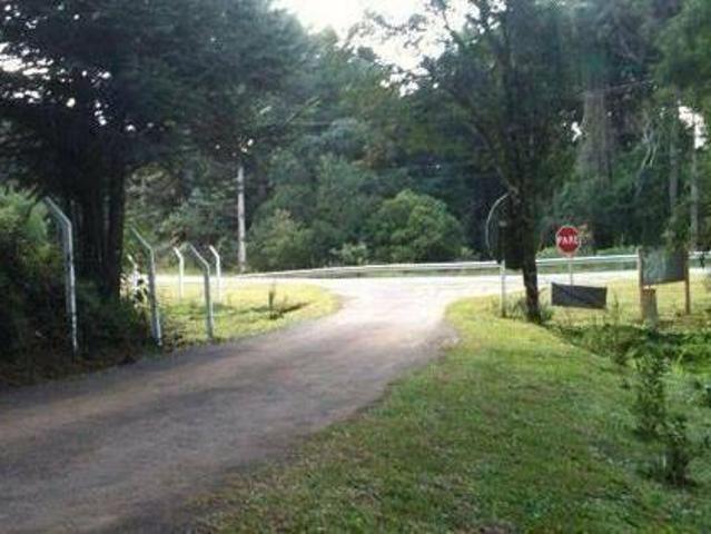 Sítio e chácara venda em Região Geográfica Imediata de Curitiba, Região Metropolitana de Curitiba