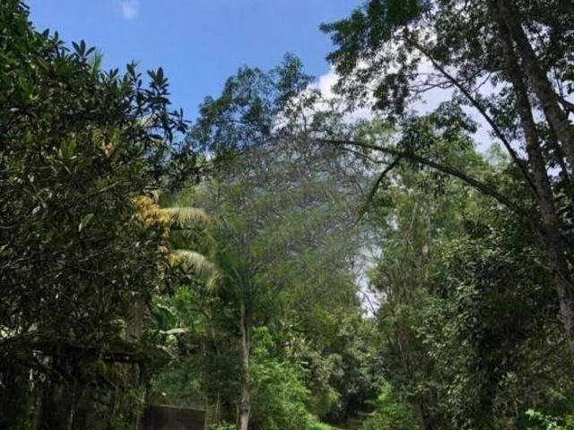 Sítio e chácara venda em Região Imediata de São Paulo, Região Metropolitana de São Paulo