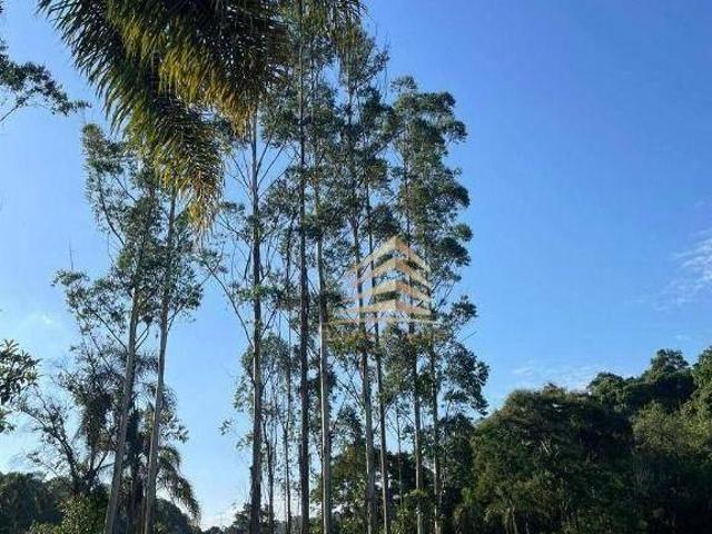 Sitio venda em Guarulhos, Bananal