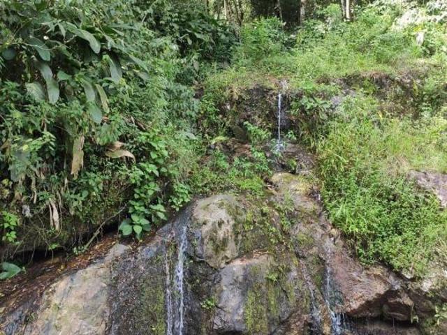 Sítio e chácara venda em Região Imediata de Guaratinguetá, Região Metropolitana do Vale do Paraíba e Litoral Norte