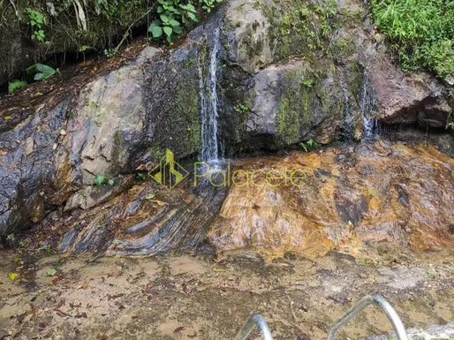 Sítio e chácara venda em Região Imediata de Guaratinguetá, Região Metropolitana do Vale do Paraíba e Litoral Norte