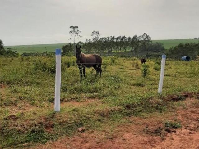 Sítio e chácara venda em Região Geográfica Imediata de Paranavaí, Mirador