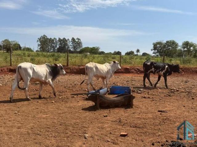 Sítio e chácara venda em Mirador, Região Geográfica Intermediária de Maringá