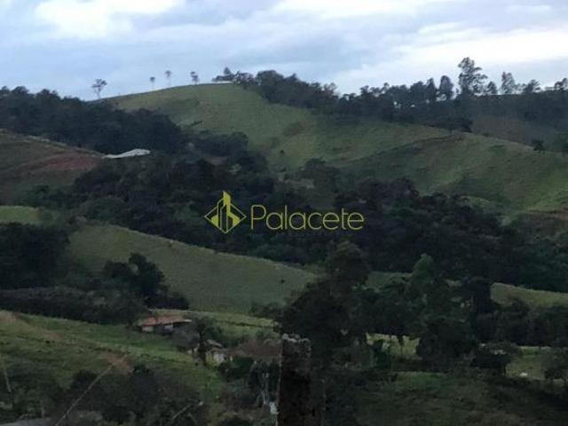 Sítio e chácara venda em Região Geográfica Imediata de Pouso Alegre, Cambuí