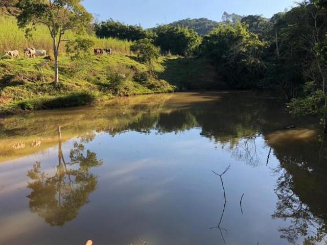 Sítio e chácara venda em Região Imediata de Guaratinguetá, Região Metropolitana do Vale do Paraíba e Litoral Norte