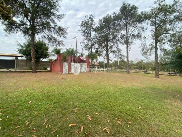 Sítio e chácara venda em Águas de São Pedro