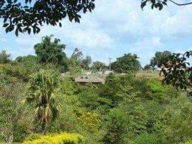 Sítio e chácara venda em Região Geográfica Imediata de Londrina, Londrina