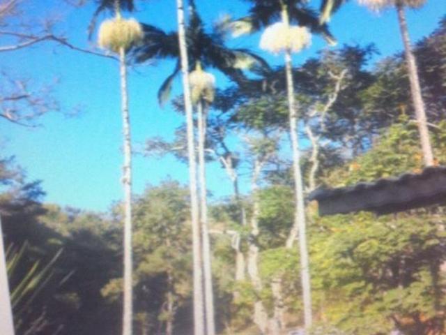Sítio e chácara venda em Região Imediata de Guaratinguetá, Região Metropolitana do Vale do Paraíba e Litoral Norte
