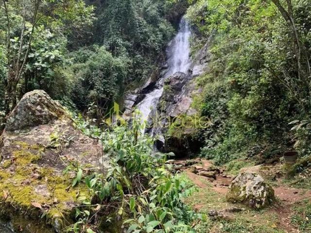 Sítio e chácara venda em Região Imediata de Taubaté-Pindamonhangaba, Região Metropolitana do Vale do Paraíba e Litoral Norte