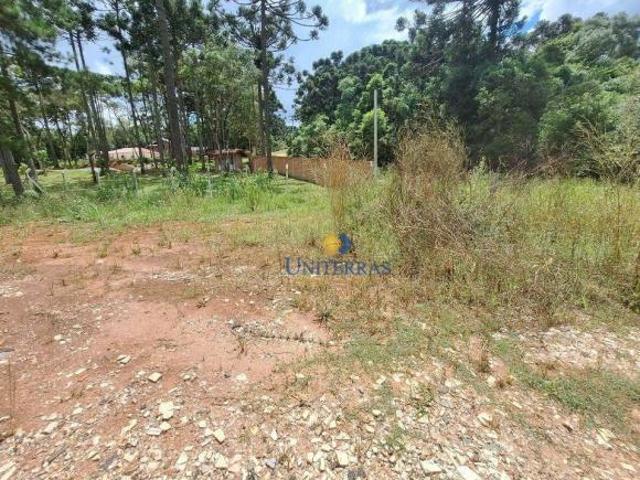 Sítio e chácara venda em Região Geográfica Imediata de Curitiba, Região Metropolitana de Curitiba