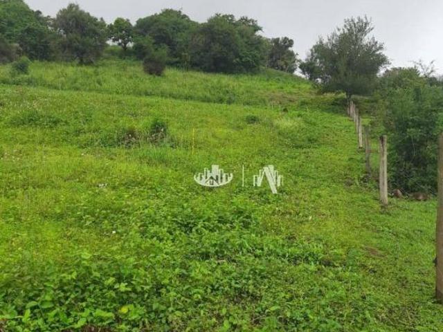 Sítio e chácara venda em Região Geográfica Imediata de Londrina, Londrina