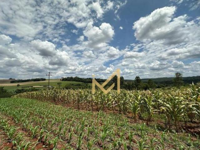 Sítio e chácara venda em Coqueiral, Cascavel