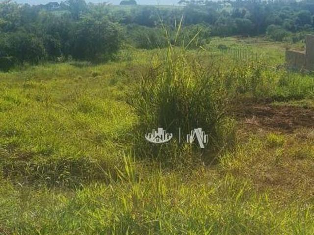 Sítio e chácara venda em Região Geográfica Imediata de Londrina, Jataizinho