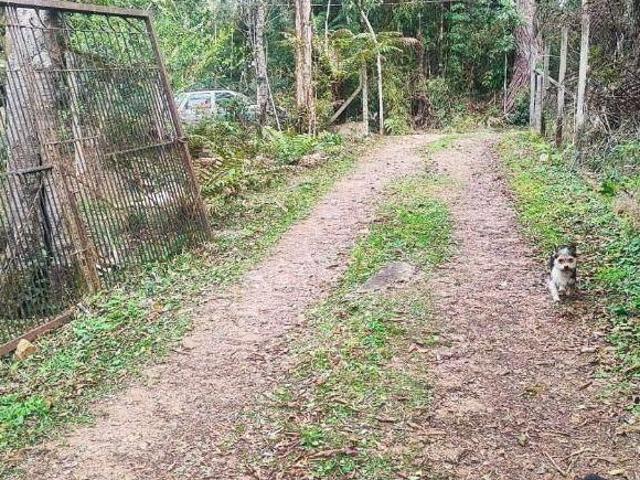 Sítio e chácara venda em Accioli, São José dos Pinhais