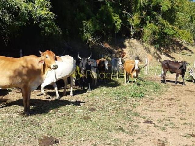 Sítio e chácara venda em Região Imediata de Taubaté-Pindamonhangaba, Região Metropolitana do Vale do Paraíba e Litoral Norte