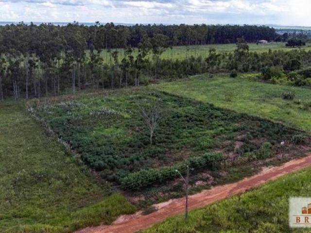 Sítio e chácara venda em Naviraí