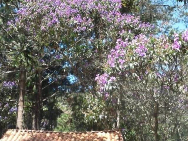 Sítio e chácara venda em Região Imediata de Guaratinguetá, Região Metropolitana do Vale do Paraíba e Litoral Norte