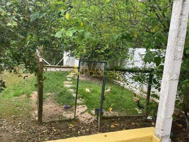Sítio e chácara venda em Tremembé