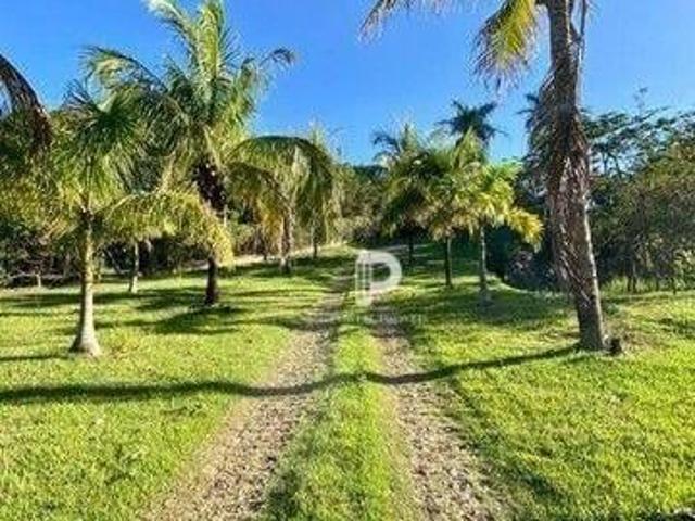 Sítio e chácara venda em Região Imediata de São Paulo, Região Metropolitana de São Paulo